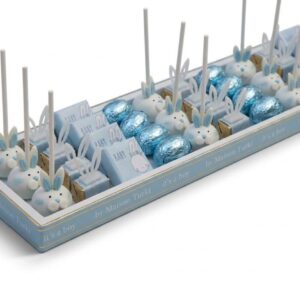 plateau le petit lapin bleu naissance maison turki